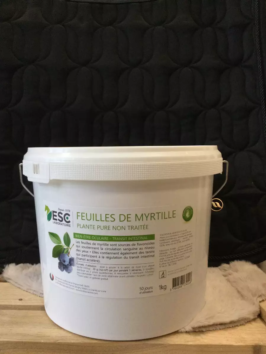 FEUILLES DE MYRTILLE ESC