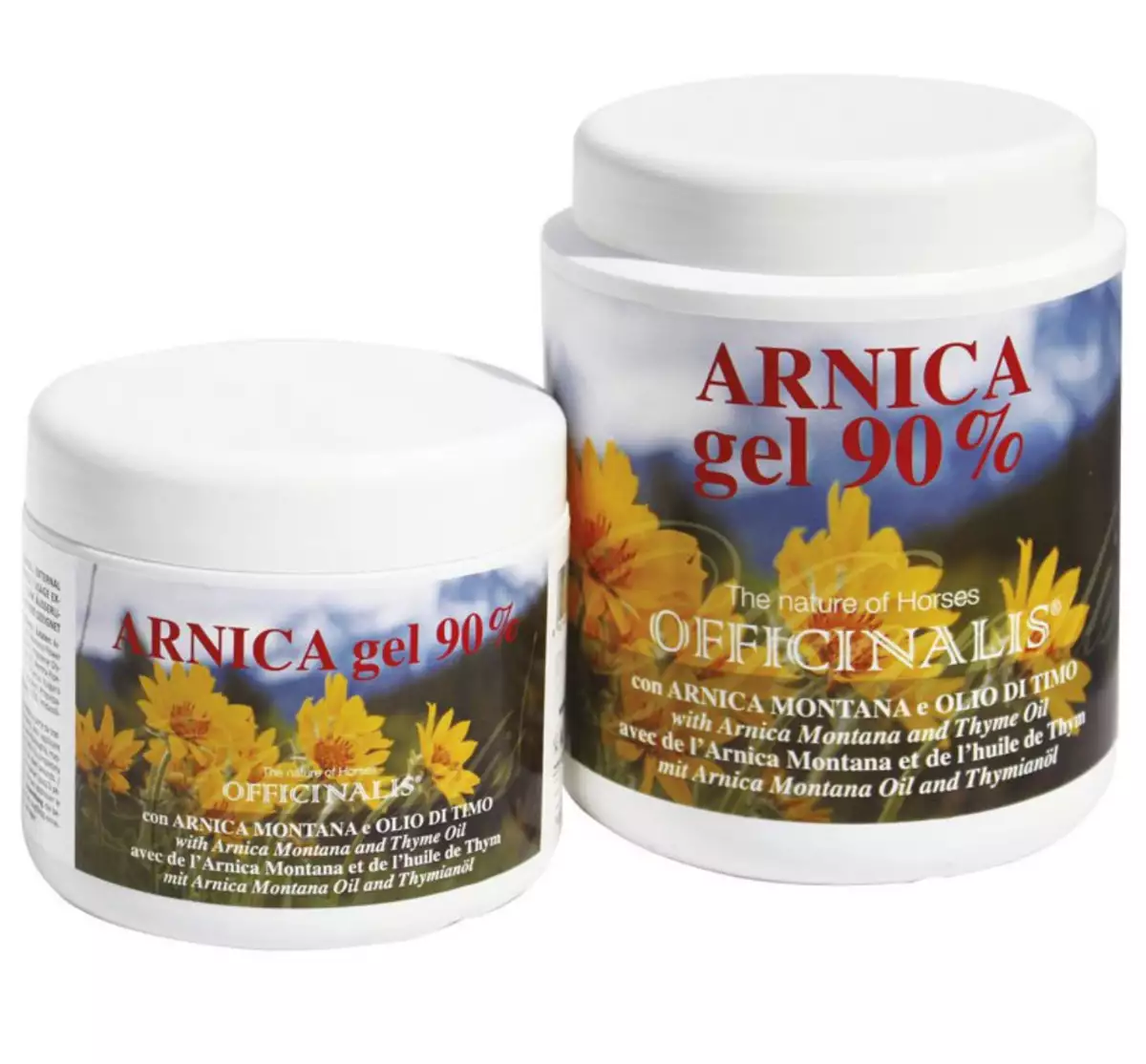 ARNICA 90